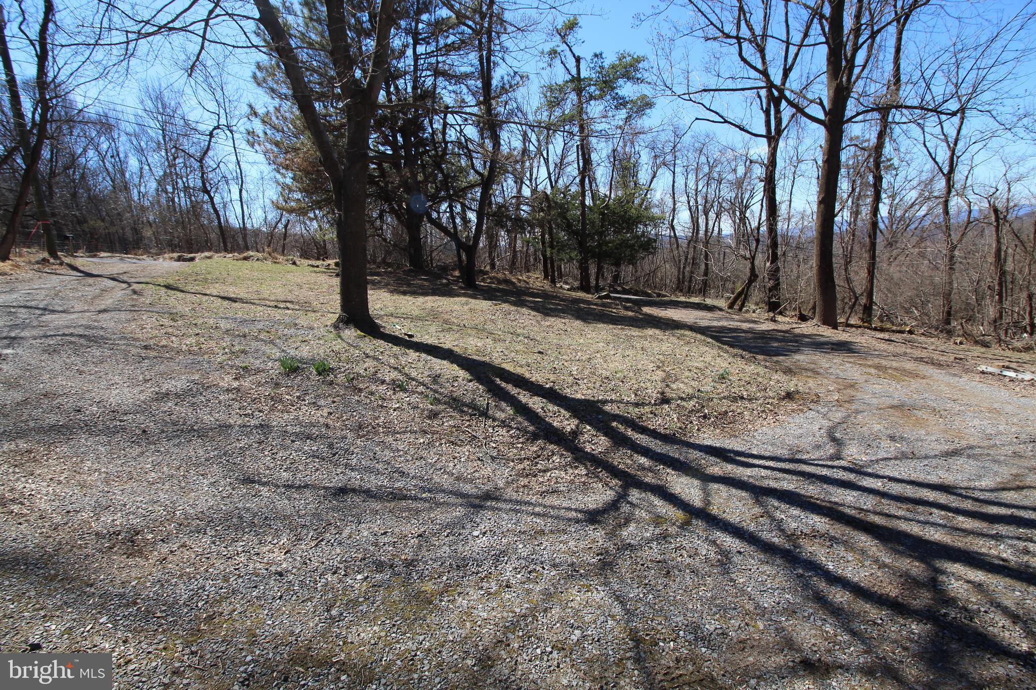 305 Steps To Heaven Road Linden, VA 22642 - Photo 3 of 22 Gallery Image 3