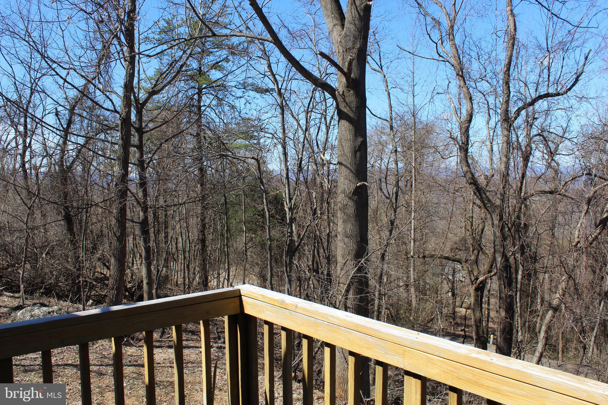305 Steps To Heaven Road Linden, VA 22642 - Photo 7 of 22 Gallery Image 7