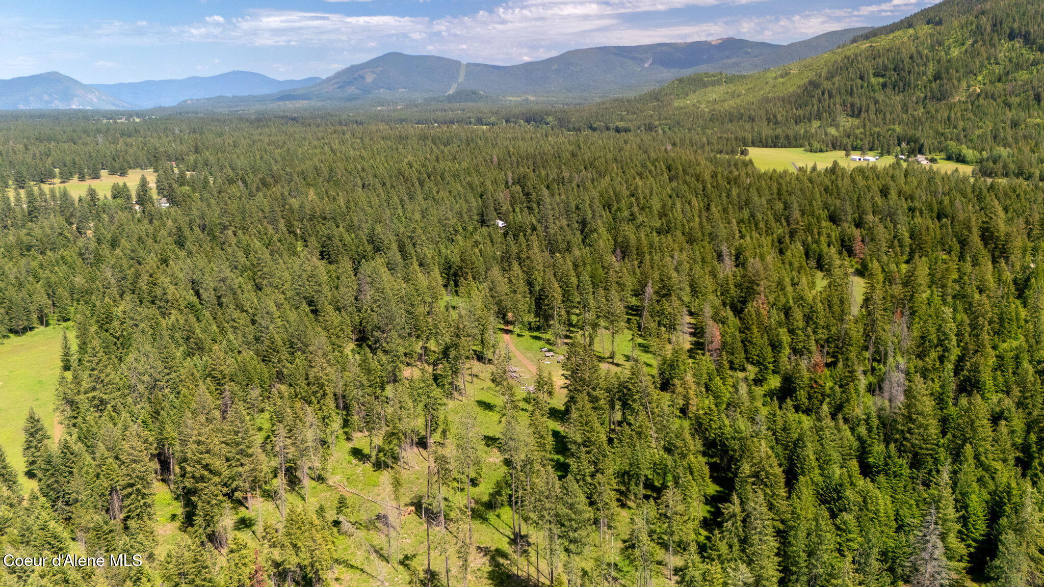 24805 North Cedar Mountain Road Athol, ID 83801 - Photo 79 of 82 78-web-or-mls-SkyLight - Cedar Mountain