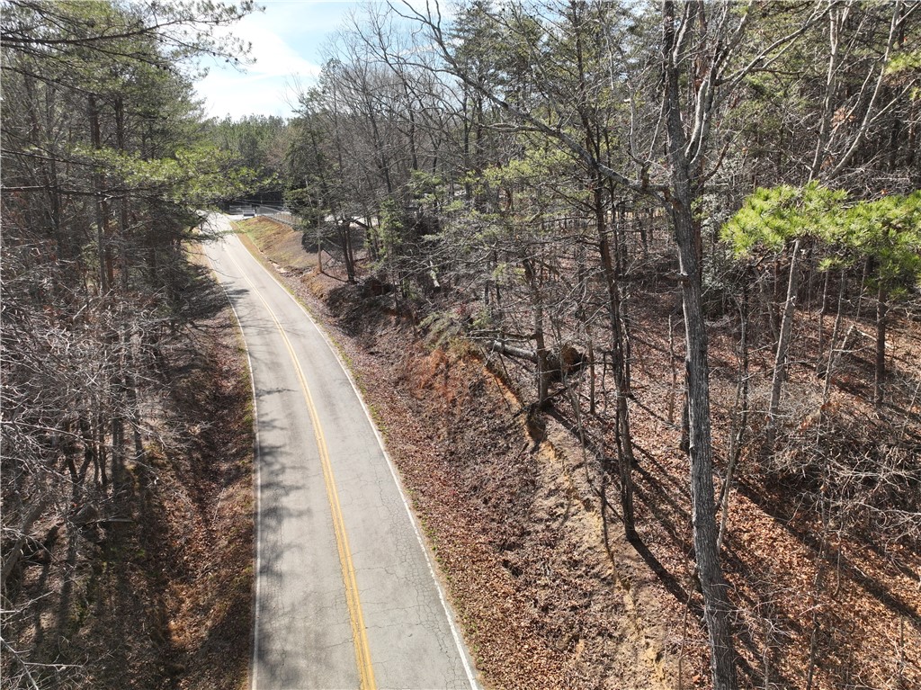 Tract B Old Unity Road Westminster, SC 29693 - Photo 7 of 12 A scenic road winds through a peaceful wooded landscape.