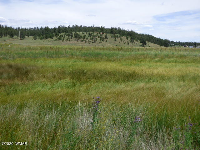 Lot 14 The Ranch Alpine, AZ 85920 - Photo 13 of 30 The Ranch at Alpine (6)