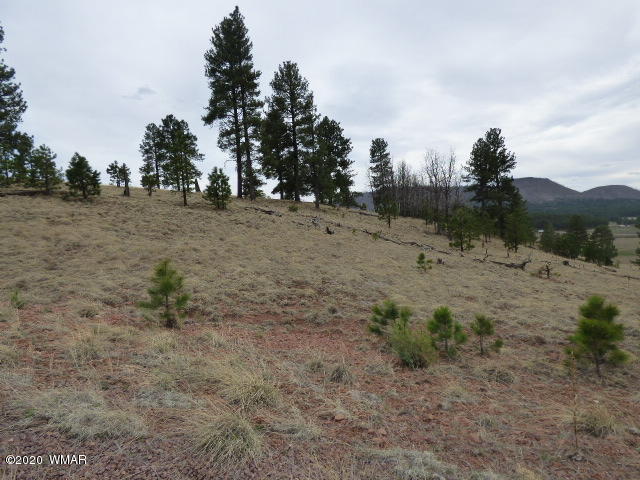 Lot 14 The Ranch Alpine, AZ 85920 - Photo 2 of 30 Lot 14 The Ranch at Alpine (5)