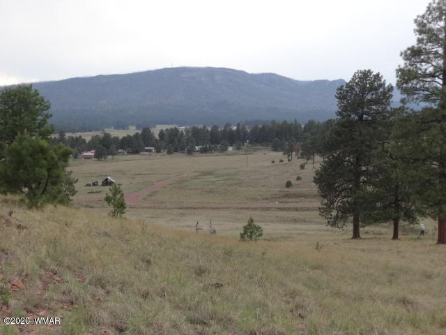 Lot 14 The Ranch Alpine, AZ 85920 - Photo 3 of 30 Lot 14 The Ranch at Alpine