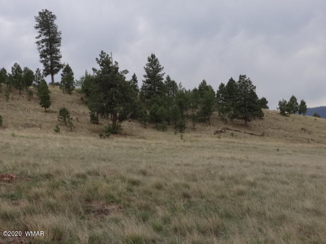 Lot 14 The Ranch Alpine, AZ 85920 - Photo 4 of 30 Lot 14 The Ranch at Alpine
