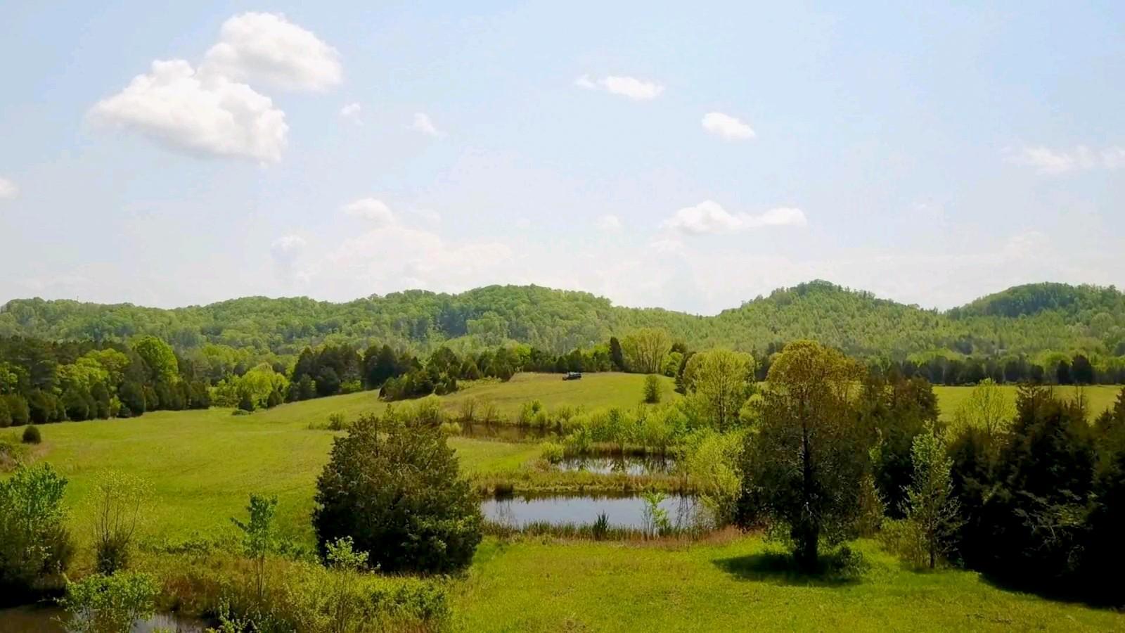 288 Sweetwater Road Philadelphia, TN 37846 - Photo 4 of 9 4-IMG_4969