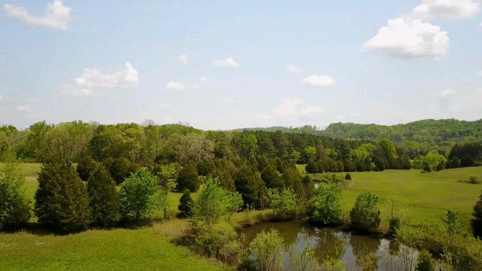 288 Sweetwater Road Philadelphia, TN 37846 - Photo 5 of 9 5-IMG_4971