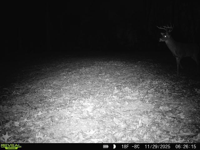 24.97-ac Stribling Springs Road Mount Solon, VA 22843 - Photo 32 of 34 a view of room