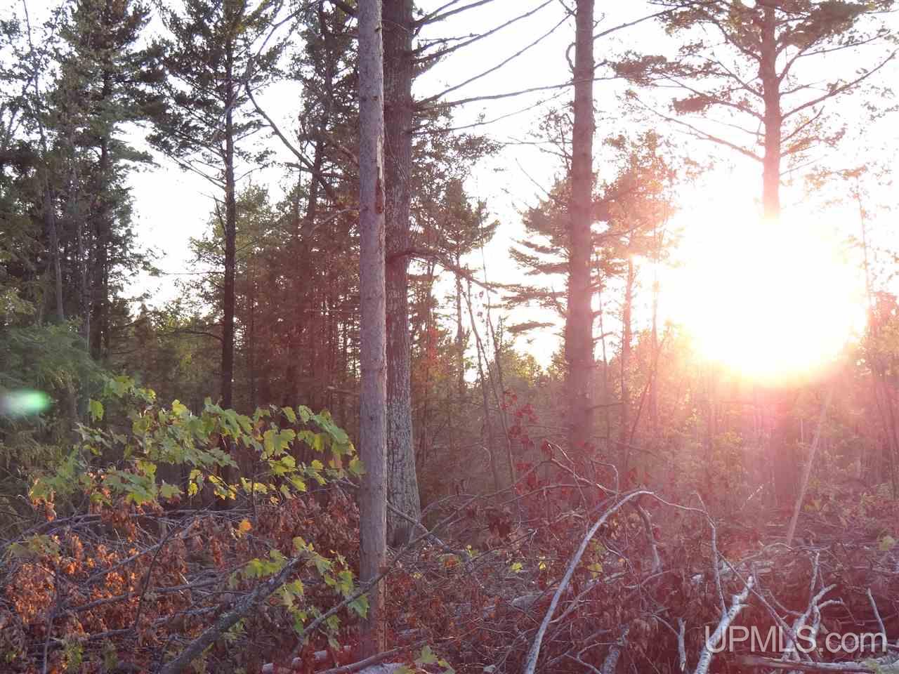 Tbd Liminga Road Atlantic Mine, MI 49905 - Photo 4 of 15 Gallery Image 4