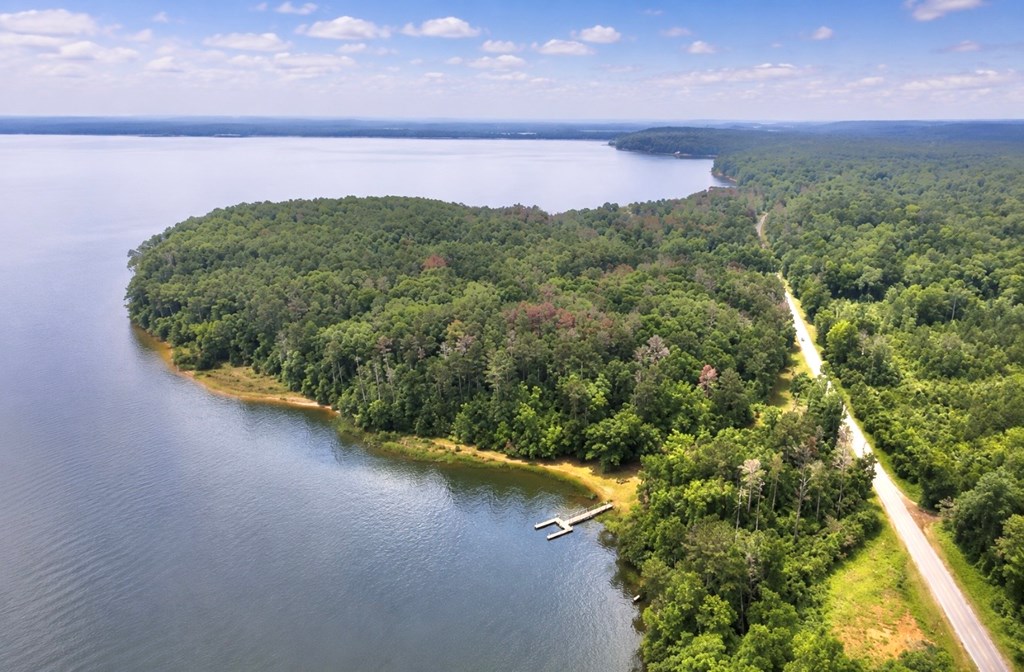 97 County Road 97 Abbeville, AL 36310 - Photo 6 of 14