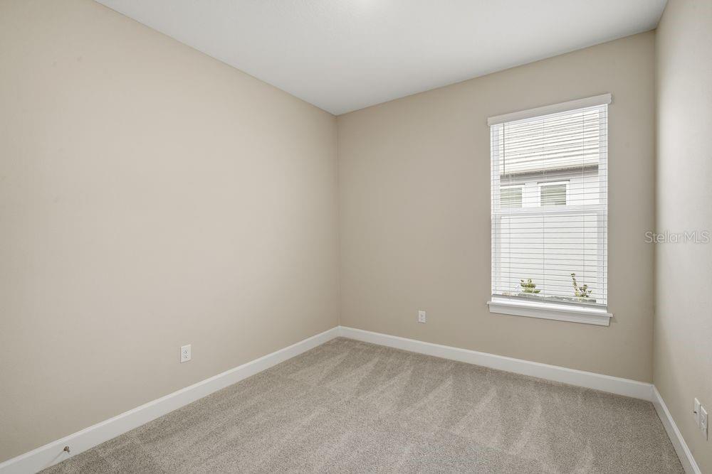 3871 Cavour Court Wesley Chapel, FL 33543 - Photo 15 of 46