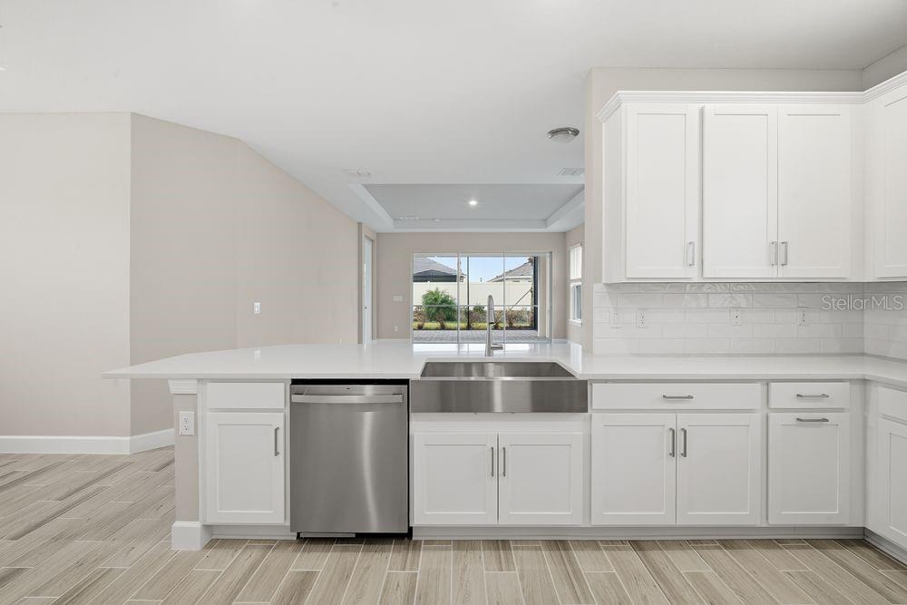 3871 Cavour Court Wesley Chapel, FL 33543 - Photo 2 of 46