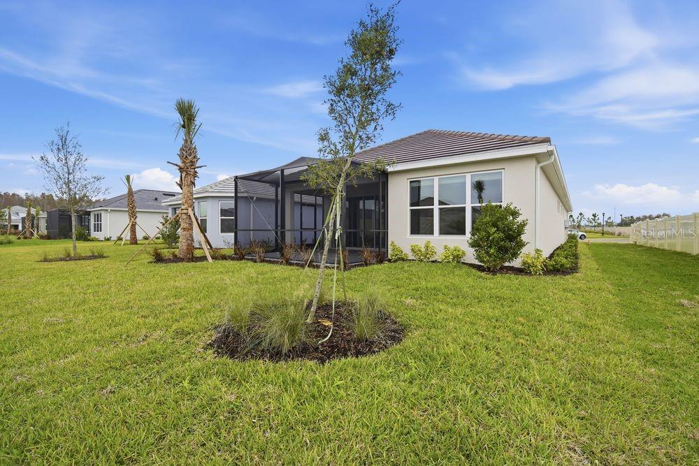 3871 Cavour Court Wesley Chapel, FL 33543 - Photo 27 of 46