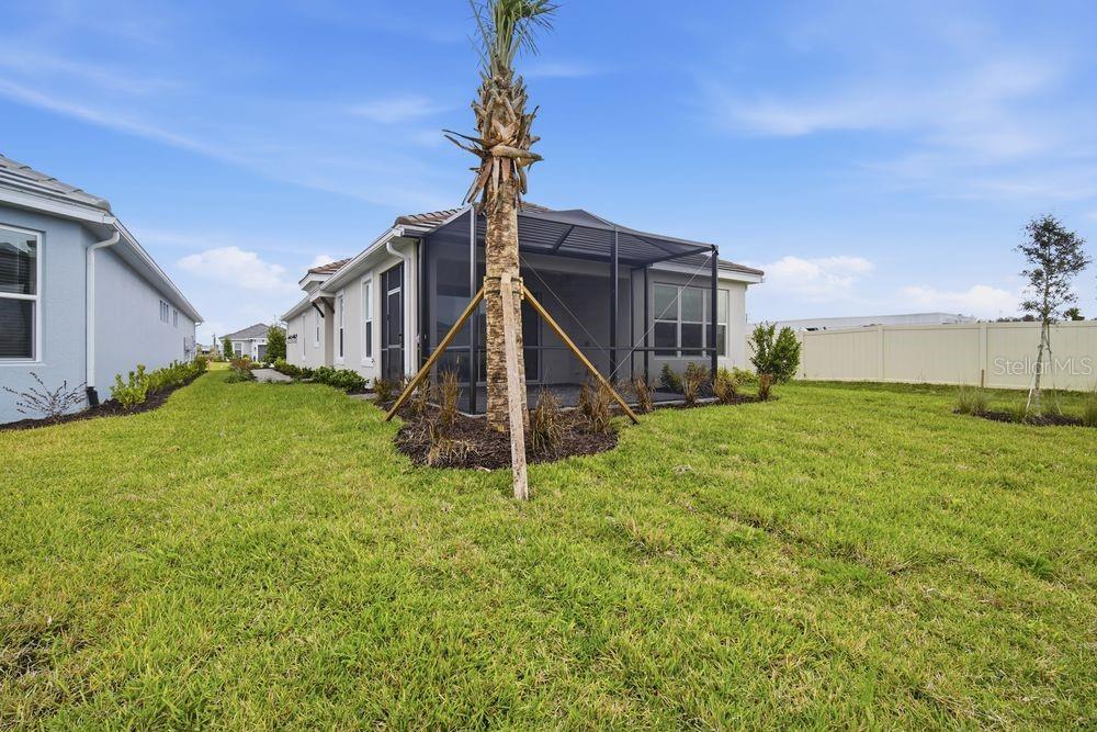 3871 Cavour Court Wesley Chapel, FL 33543 - Photo 28 of 46