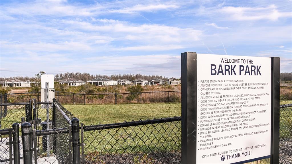 3871 Cavour Court Wesley Chapel, FL 33543 - Photo 33 of 46