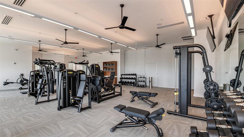 3871 Cavour Court Wesley Chapel, FL 33543 - Photo 35 of 46