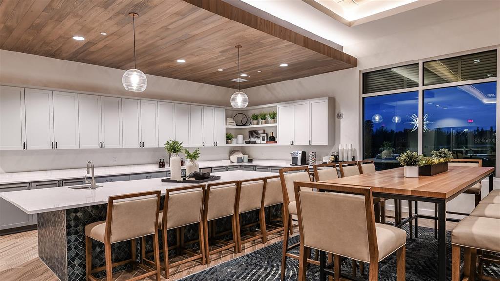 3871 Cavour Court Wesley Chapel, FL 33543 - Photo 42 of 46