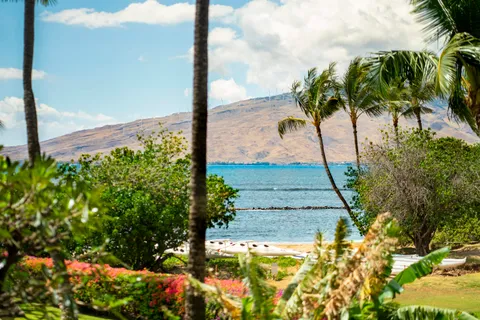 a view of a tall building with a swimming pool