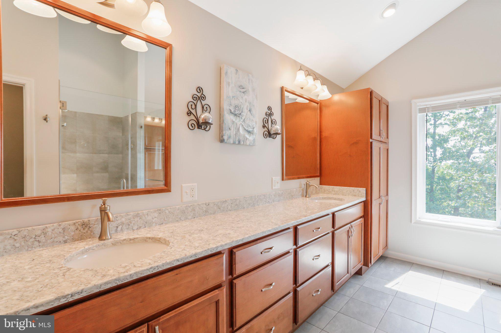 342 Moundbuilder Loop Hedgesville, WV 25427 - Photo 36 of 81 Primary Bath off Owners BR Suite!