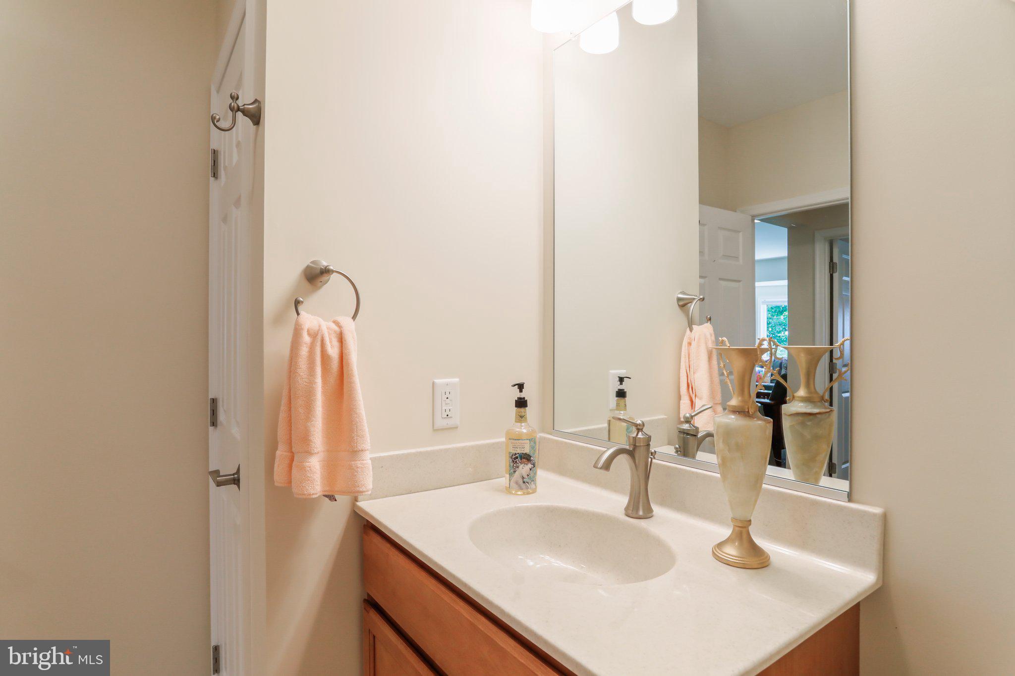 342 Moundbuilder Loop Hedgesville, WV 25427 - Photo 53 of 81 Full bathroom in lower level