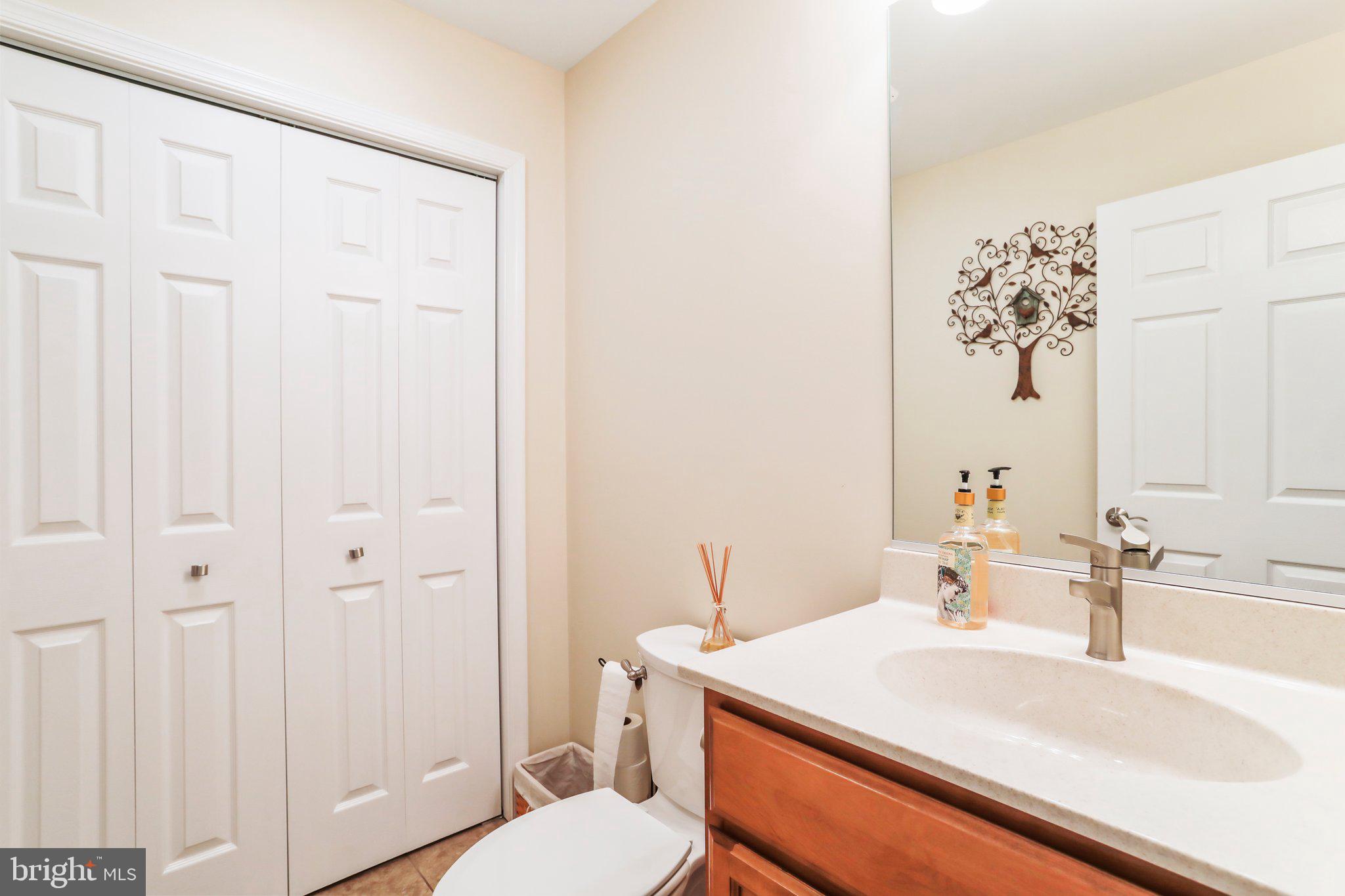 342 Moundbuilder Loop Hedgesville, WV 25427 - Photo 54 of 81 Full bathroom in lower level