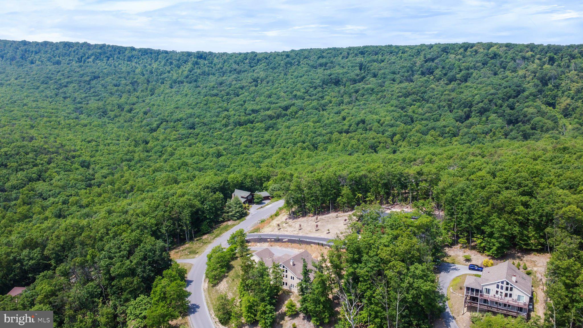 342 Moundbuilder Loop Hedgesville, WV 25427 - Photo 66 of 81 Incredible mountain views!