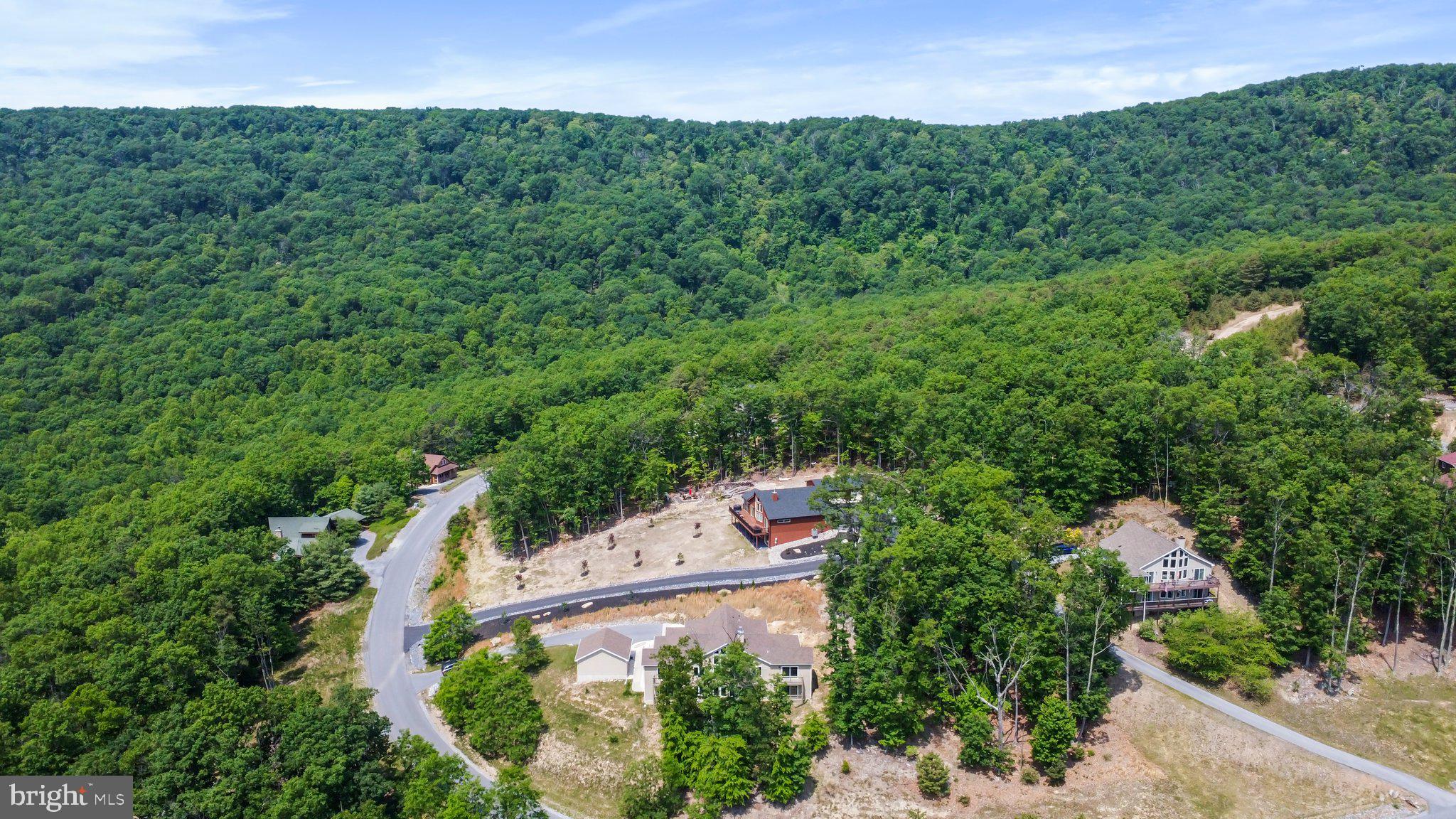 342 Moundbuilder Loop Hedgesville, WV 25427 - Photo 67 of 81 360 degree mountain views!