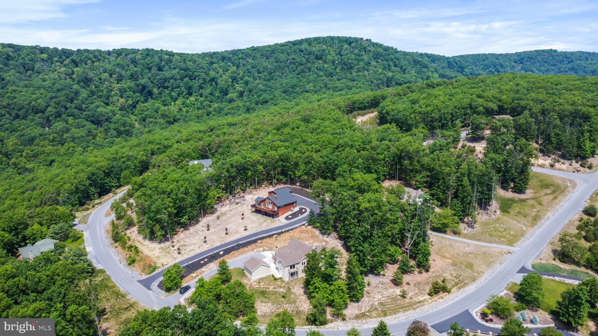 342 Moundbuilder Loop Hedgesville, WV 25427 - Photo 68 of 81 Mountain views!