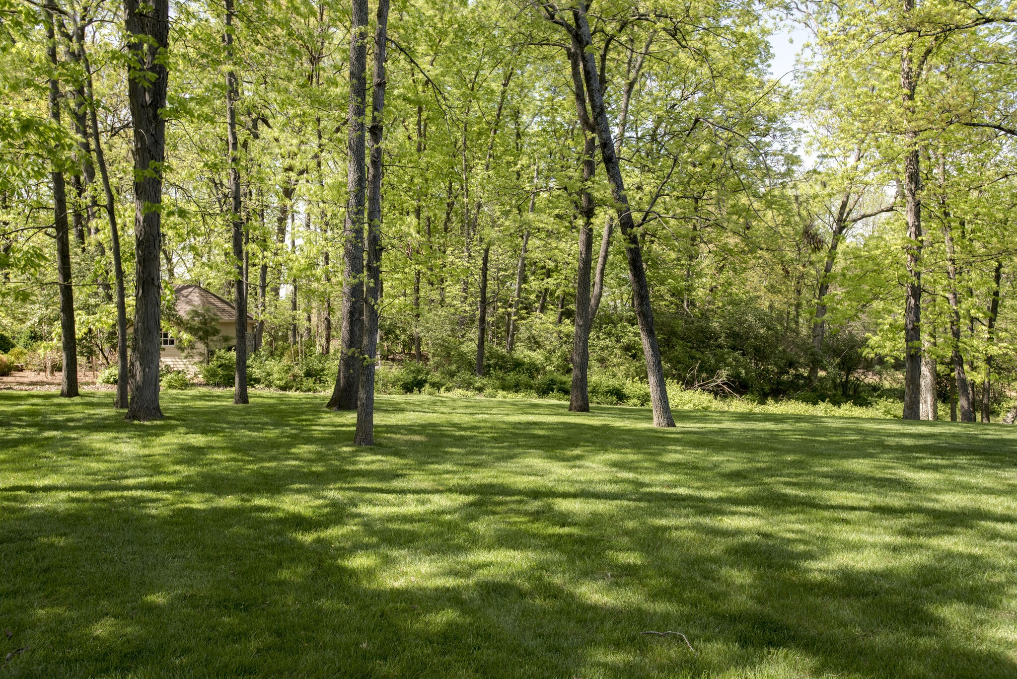 6212 Hickory Valley Road Nashville, TN 37205 - Photo 5 of 41