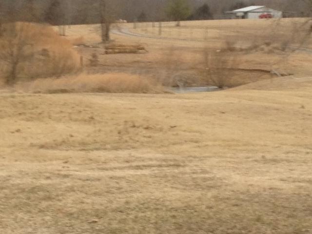 645 Cook Road Portland, TN 37148 - Photo 3 of 20 2 ponds on this property. You can have horses with a little fencing.