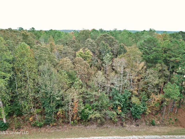 $50,000 | 6046 Highway 15, Louin, MS 39338