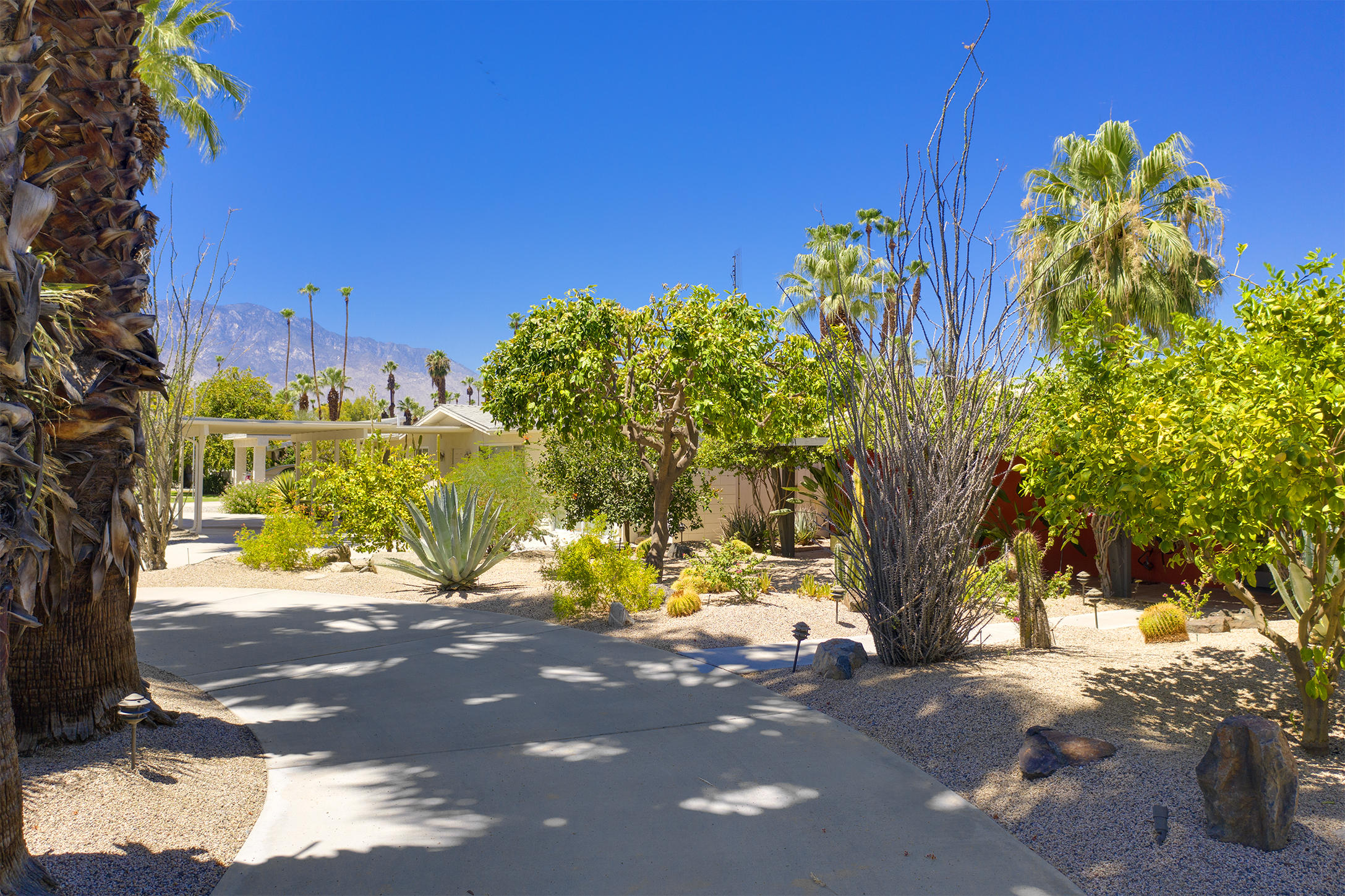 70110 Chappel Road Rancho Mirage, CA 92270 - Photo 20 of 26 a view of a yard with plants and trees