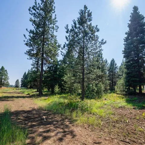 $850,000 | Lot 33 To Be Determined, Unit 33, McCall, ID 83638