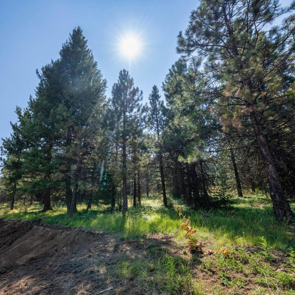 Lot 33 To Be Determined, Unit 33 McCall, ID 83638 - Photo 2 of 2