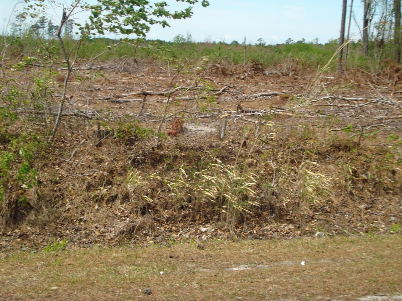 Obj Road Dunn, NC 28334 - Photo 15 of 19 Photo 15