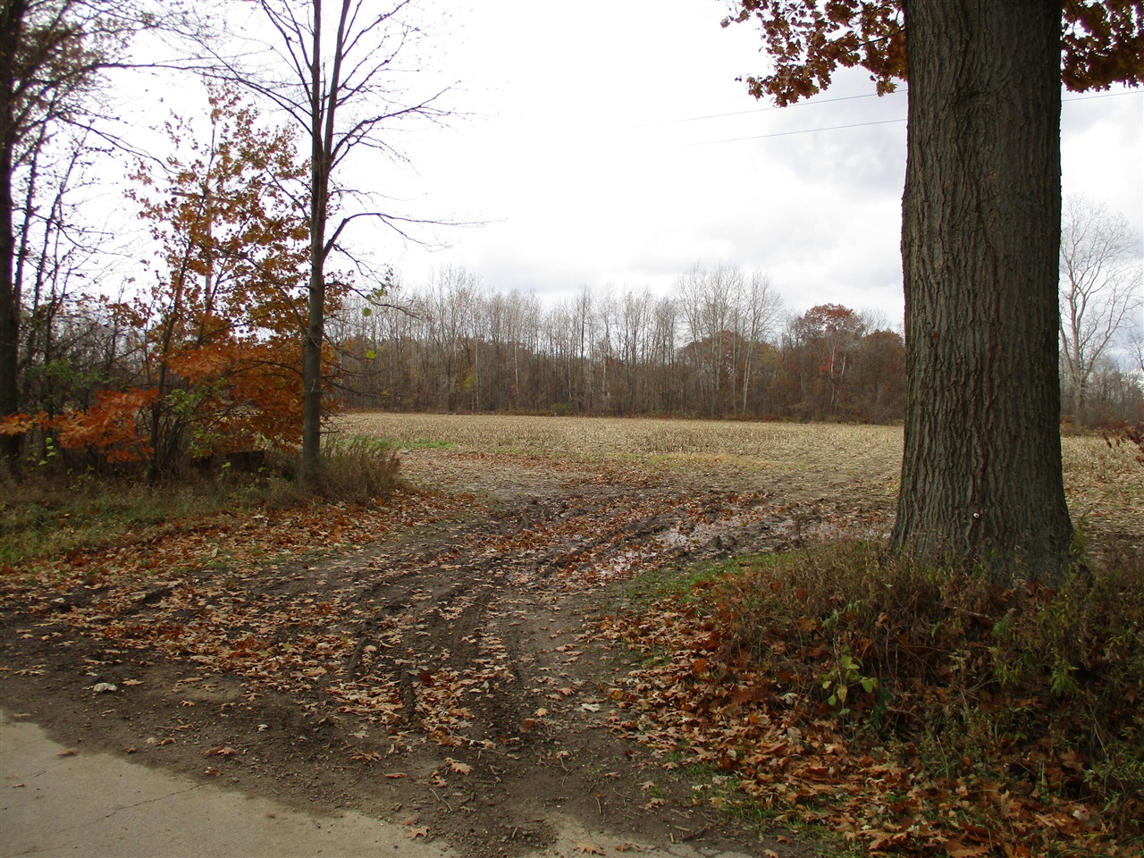 0 Baseline Road Onondaga, MI 49264 - Photo 11 of 16