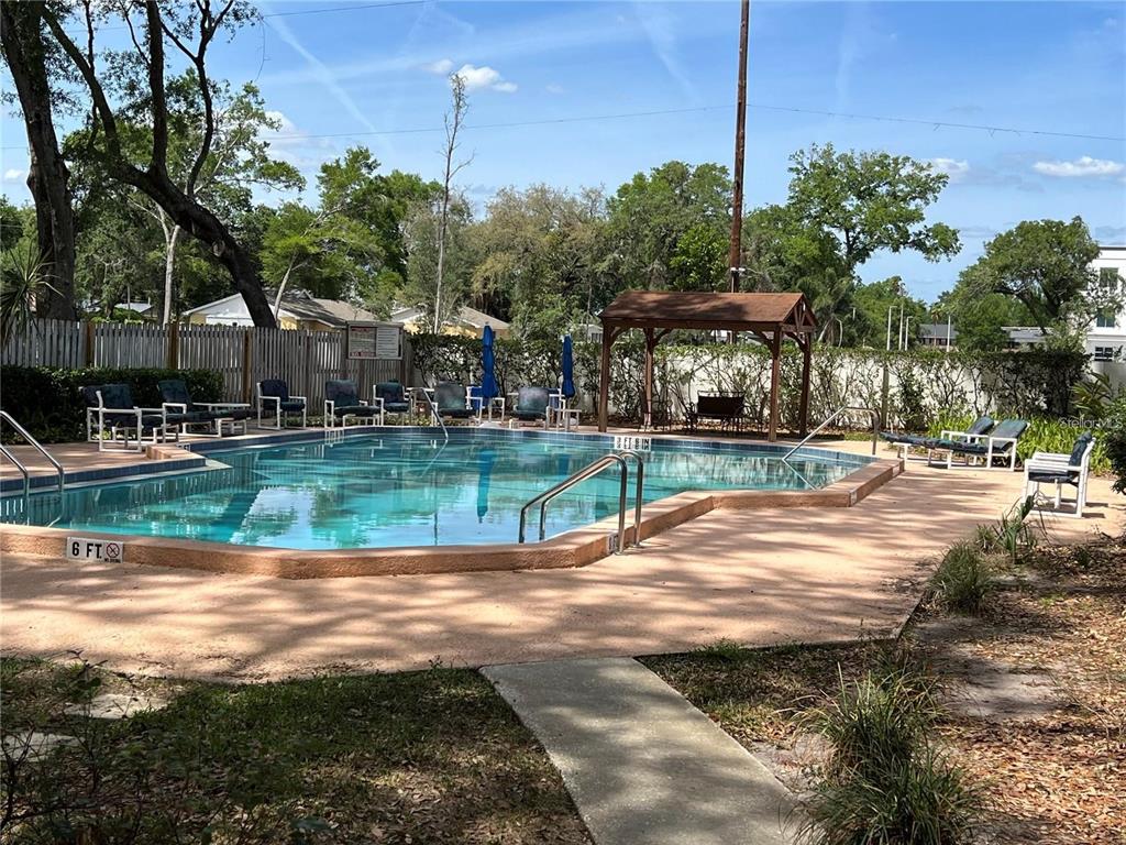 602 Fieldcrest Drive Brandon, FL 33511 - Photo 22 of 23 a view of a park with large trees