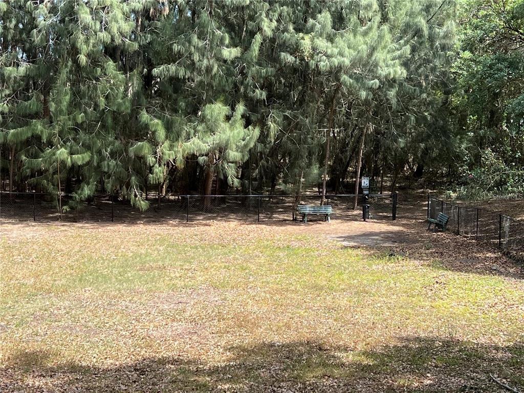 602 Fieldcrest Drive Brandon, FL 33511 - Photo 23 of 23 a view of swimming pool with a bench and trees
