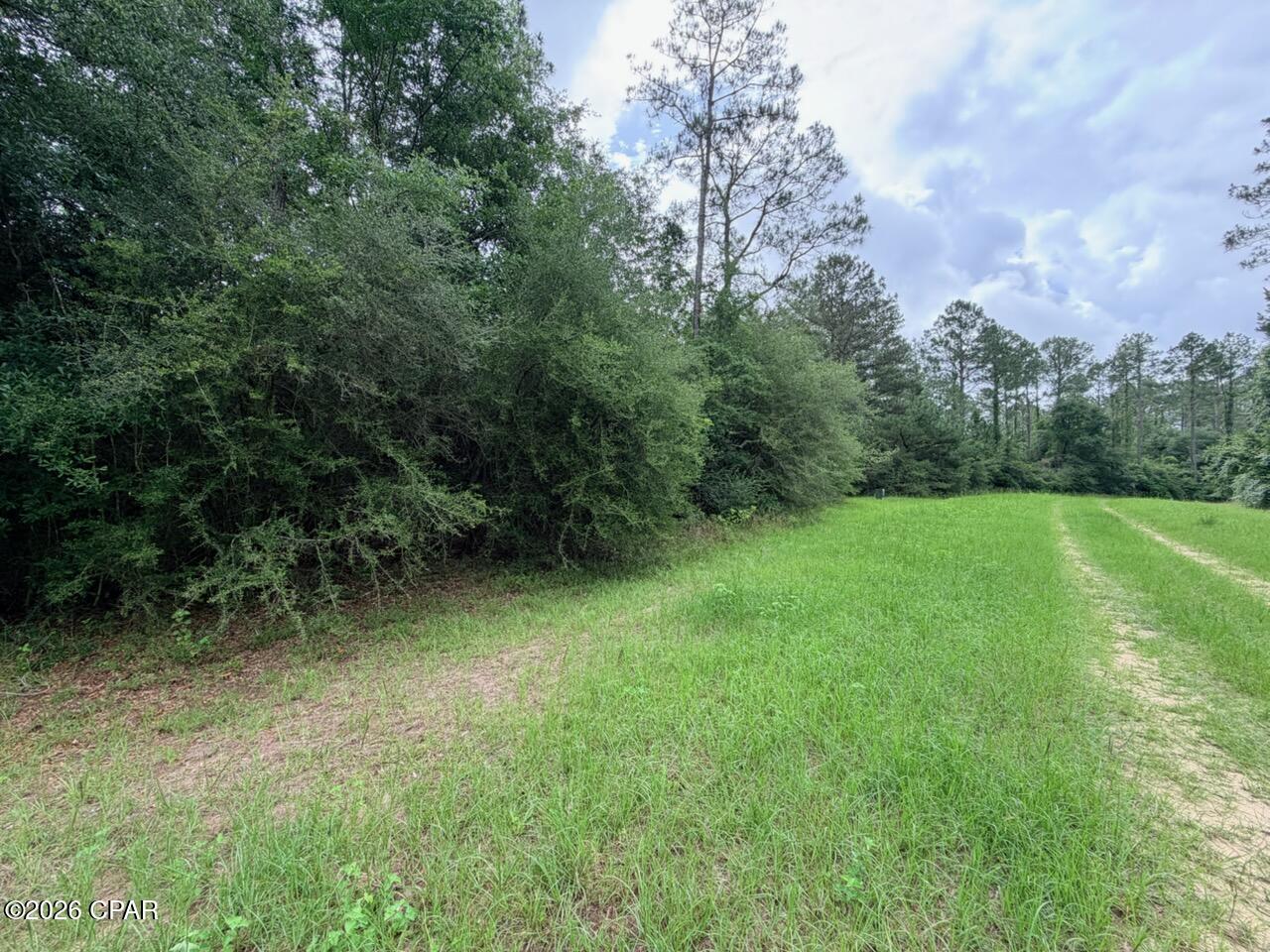 Tbd Sumac Road Westville, FL 32464 - Photo 3 of 10