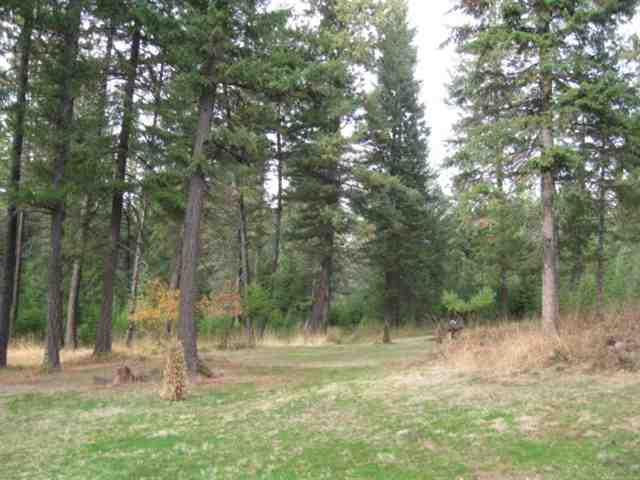 42910 North Division Road Deer Park, WA 99006 - Photo 4 of 9 Gallery Image 4