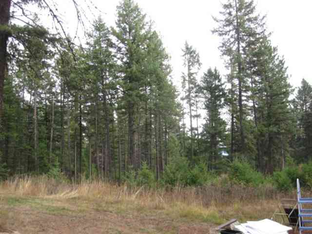 42910 North Division Road Deer Park, WA 99006 - Photo 5 of 9 Gallery Image 5