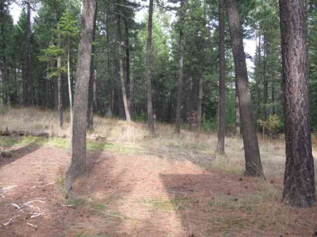 42910 North Division Road Deer Park, WA 99006 - Photo 9 of 9 Gallery Image 9