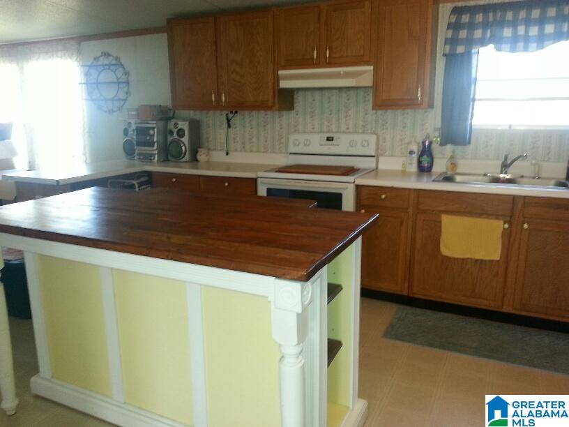 145 Deerfield Road Pell City, AL 35125 - Photo 14 of 19