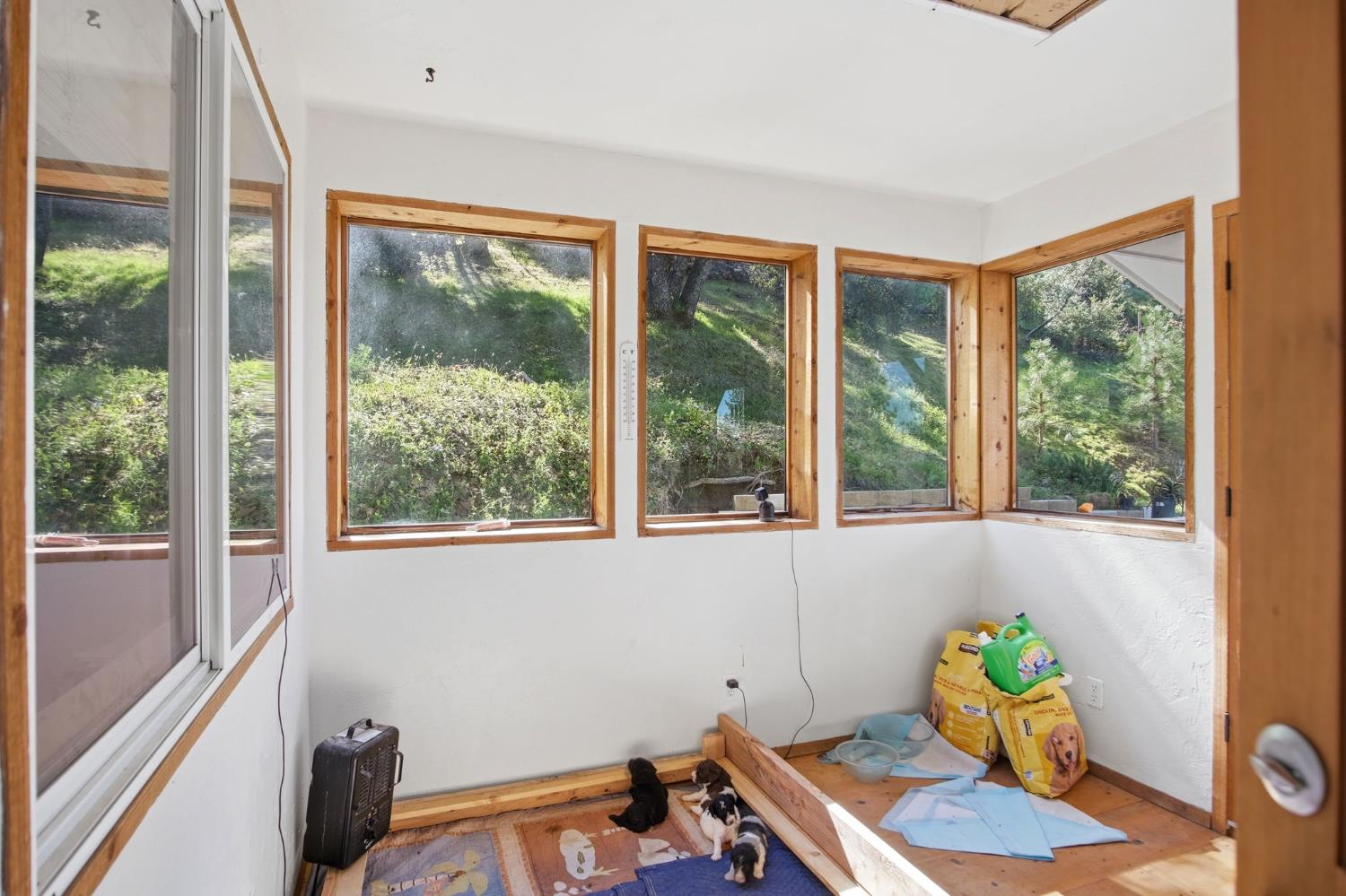 5769 Clouds Rest Mariposa, CA 95338 - Photo 22 of 49