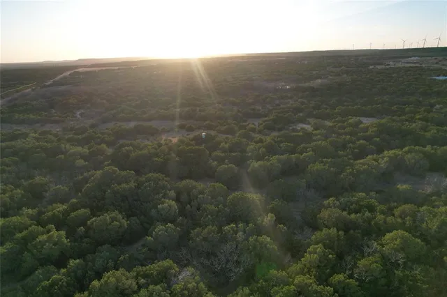 an aerial view of forest