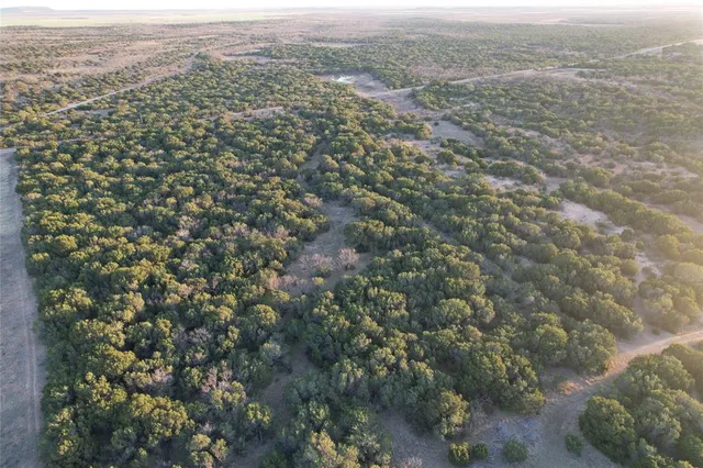 a view of a city with lush green forest