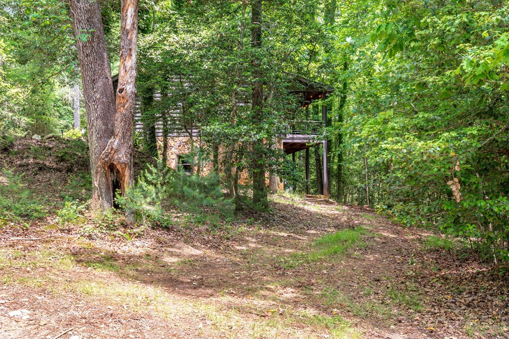 347 Dowd Road Morganton, GA 30560 - Photo 59 of 71 Gallery Image 59