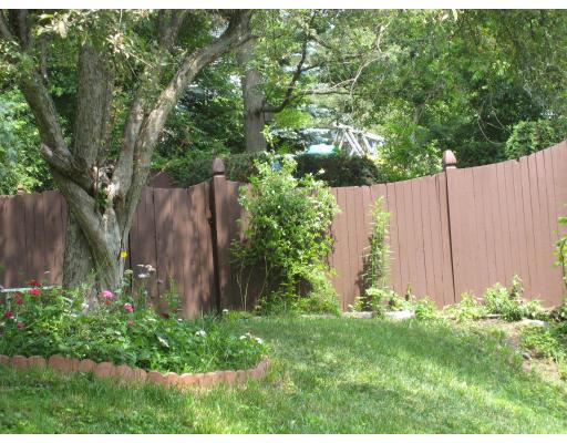 135 Winchester Road Arlington, MA 02474 - Photo 4 of 12 a backyard of a house with lots of green space