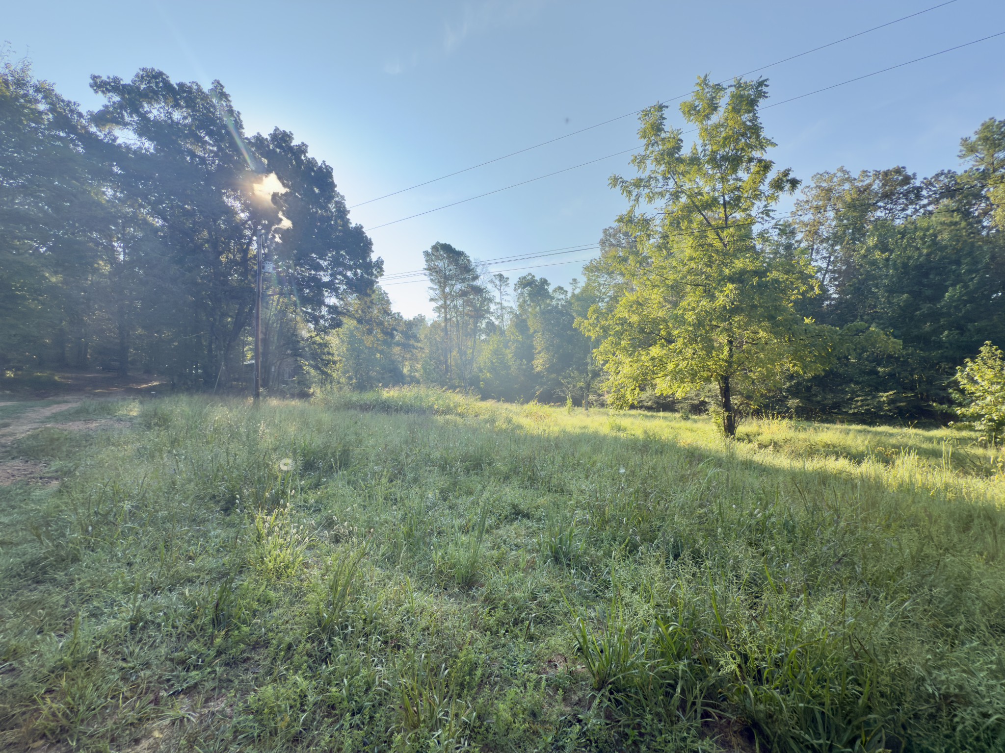 180 Webb Road Summertown, TN 38483 - Photo 15 of 25 a view of a field with trees