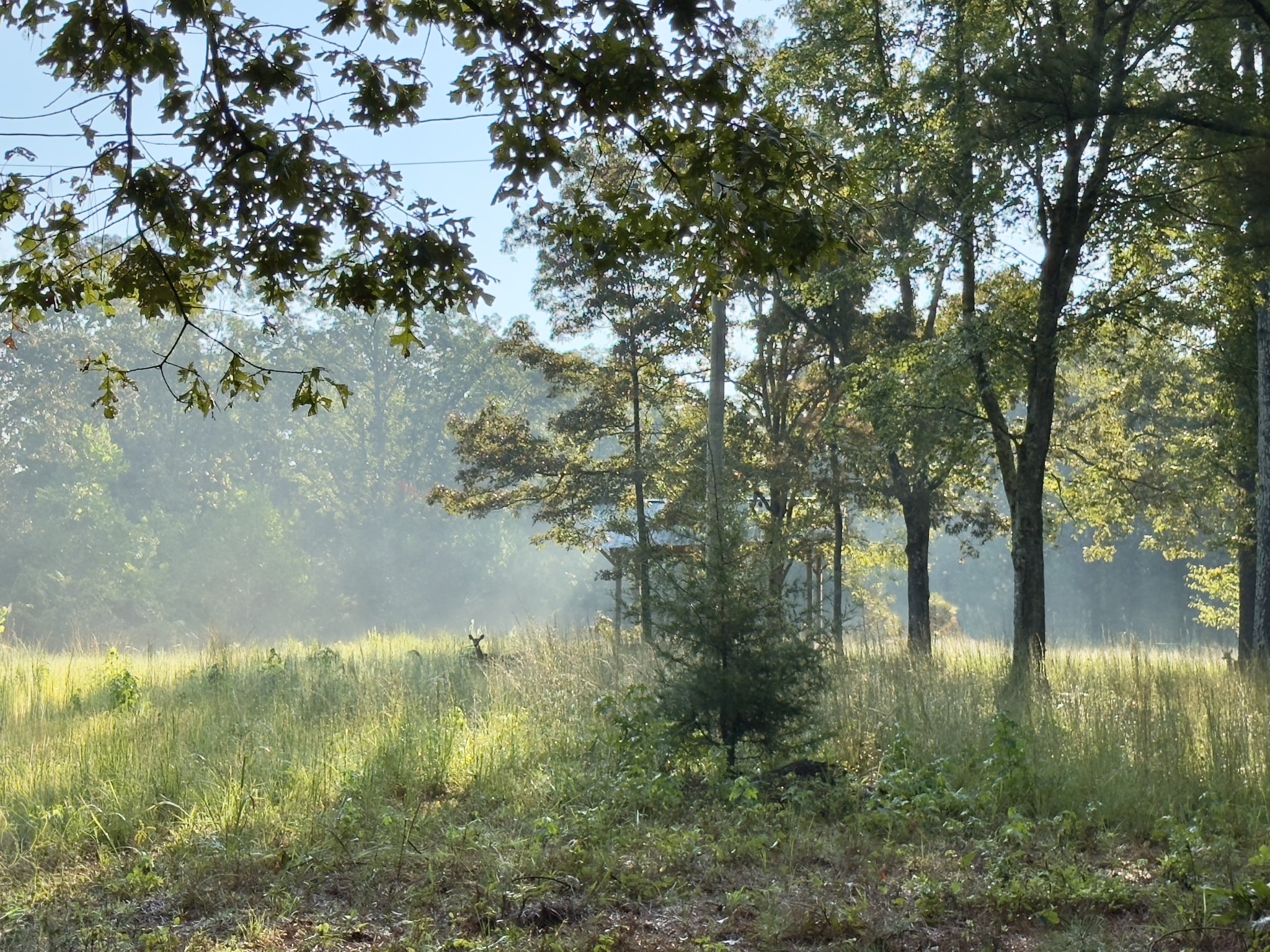 180 Webb Road Summertown, TN 38483 - Photo 16 of 25 a view of lake with a yard