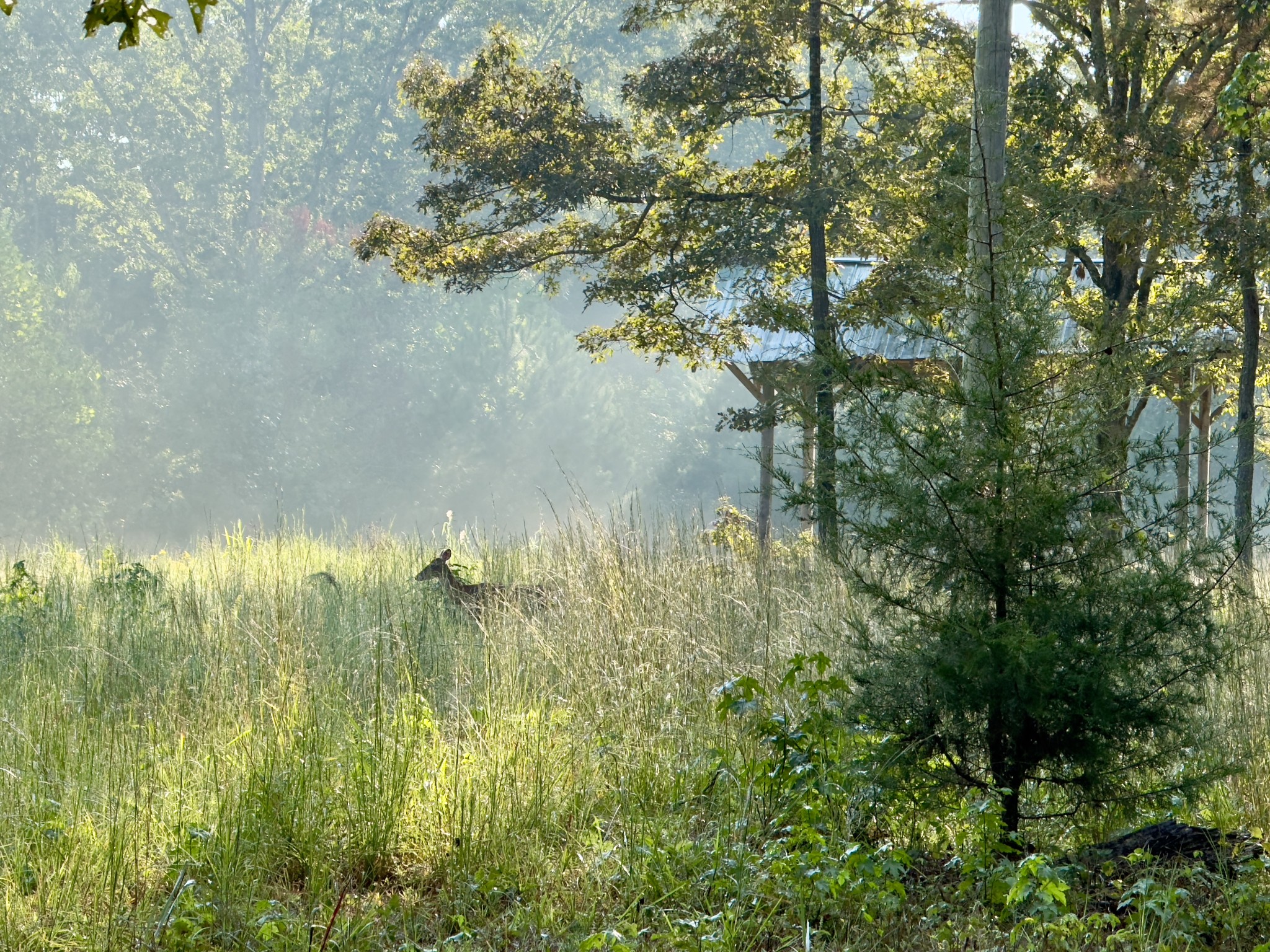 180 Webb Road Summertown, TN 38483 - Photo 17 of 25 a view of a lake view